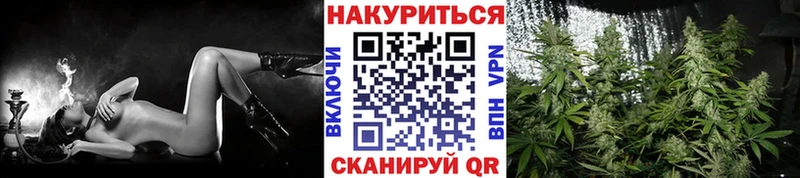 блэк спрут как войти  Старица  Марихуана тримм 